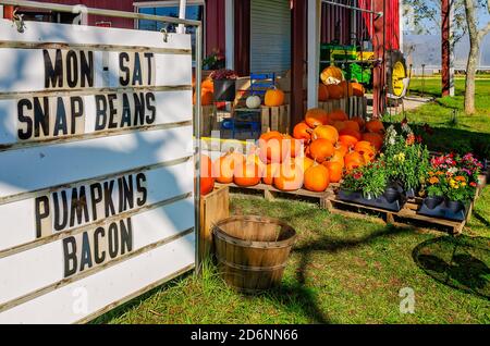 Zucche e altri prodotti stagionali sono esposti al McKenzie Farm Market, 17 ottobre 2020, a Fairhope, Alabama. Foto Stock