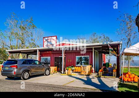 Zucche e altri prodotti stagionali sono esposti al McKenzie Farm Market, 17 ottobre 2020, a Fairhope, Alabama. Foto Stock