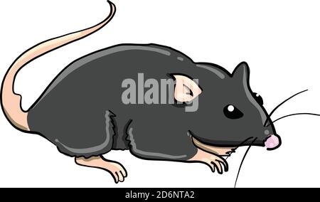 Piccolo mouse, illustrazione, vettore su sfondo bianco Illustrazione Vettoriale