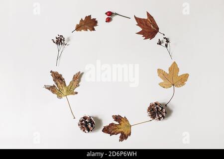Colorato acero autunnale, foglie di quercia e coni di pino con piante secche posate su uno sfondo bianco tavolo. Cerchio naturale di caduta floreale, composizione di corona con Foto Stock