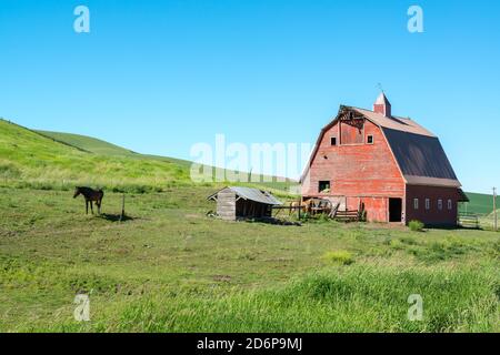 Red Barn della Regione di Palouse, Washington-USA Foto Stock