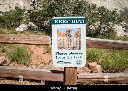 Colorado Springs, Colorado - 14 settembre 2020: Segno che ricorda agli escursionisti di rimanere sul sentiero a causa di pecore bighorn nel Garden of the Gods Park Foto Stock