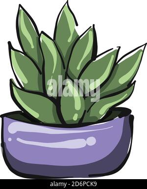Pianta in una pentola viola, illustrazione, vettore su sfondo bianco. Illustrazione Vettoriale