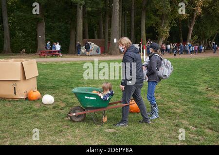 Patch annuale di zucca alle fattorie di Fir Point ad Aurora, Oregon, sabato 17 ottobre 2020, durante una stagione di caduta pandemica. Foto Stock