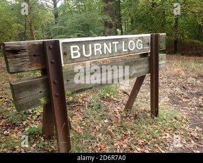 Burned Log segno Foresta di Dean Foto Stock