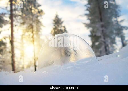 Primo piano di una bolla sop congelata nella neve in inverno Foto Stock