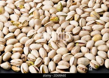 Il pistacchio è un piccolo albero del genere Pistacia, originario delle regioni montane della Grecia, Siria, Turchia, Kirghizistan, Turkmenistan, Iran, Pakis Foto Stock