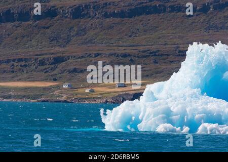 Iceberg alla deriva nel fiordi della Groenlandia meridionale. America, Nord America, Groenlandia, Danimarca Foto Stock