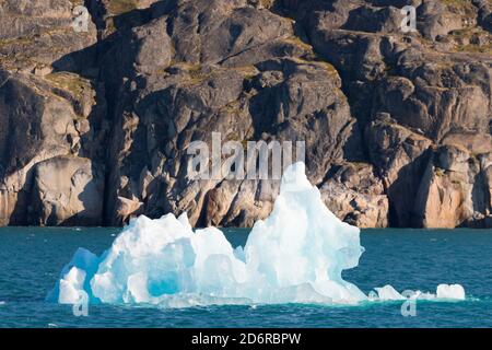 Iceberg alla deriva nel fiordi della Groenlandia meridionale. America, Nord America, Groenlandia, Danimarca Foto Stock