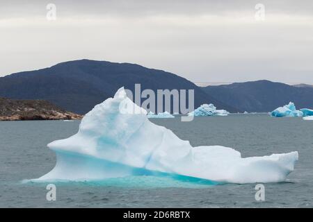 Iceberg alla deriva nel fiordi della Groenlandia meridionale. America, Nord America, Groenlandia, Danimarca Foto Stock