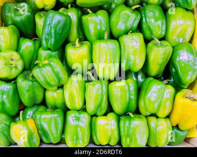 Un mucchio di peperoni verdi è accatastato ordinatamente in file. Foto a schermo intero. Sfondo Foto Stock