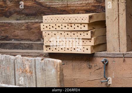 Hotel di insetto per api selvatiche fatti con tavole di legno, Germania Foto Stock