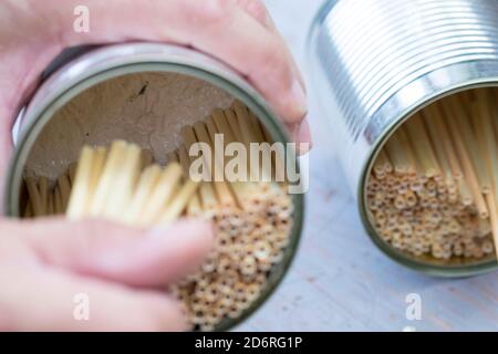 Hotel di insetto per api selvatiche con paglia, Germania Foto Stock