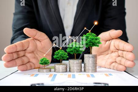 L'albero verde che sta crescendo su monete aumenta in varie forme, comprese le mani di uomini d'affari che circondano il mucchio di monete e il ris Foto Stock