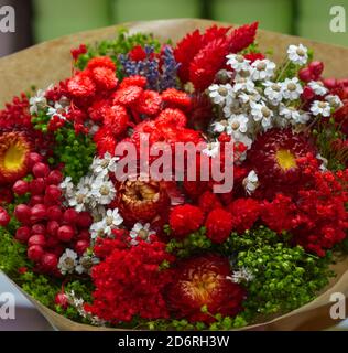 un bouquet di fiori selvatici, bianchi, rossi e blu Foto Stock