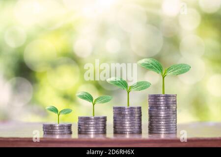 L'albero che cresce sullo stack di monete per mostrare la crescita del denaro, il concetto di crescita aziendale e di crescita degli investimenti. Foto Stock