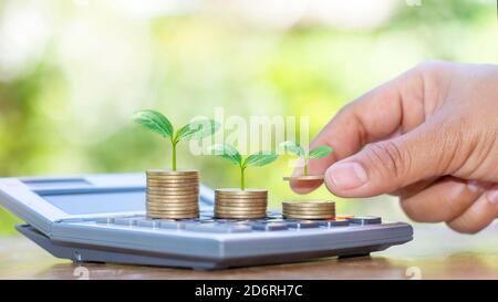La mano che tiene l'albero che cresce sulla moneta comprende la segatura, la pianta che cresce sulla moneta e la calcolatrice. Foto Stock