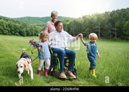 Bambini piccoli con nonni anziani e cane su una passeggiata sul prato in natura. Foto Stock