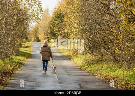 Donna che cammina con un beagle sulla strada asfaltata in campagna. Foto Stock