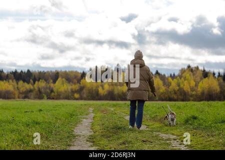 Donna mid adulta che cammina con un beagle sul campo. Foto Stock