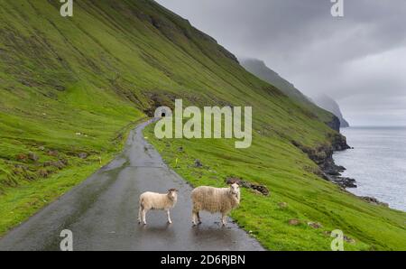 Su strada e ingresso a uno stretto tunnel sull'isola Kalsoy. Nordoyggjar (Northern Isles) nelle isole Faerøer, un arcipelago nel Nord Atlantico. E Foto Stock