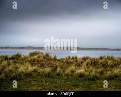Vista dell'erba di Marram mentre la tempesta entra sopra Northam Burrows, Devon del nord, Regno Unito. Foto Stock
