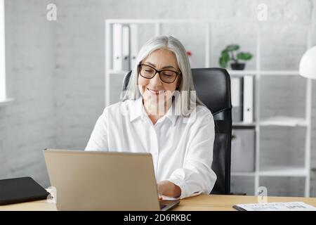 Uomo d'affari anziano con capelli grigi che lavora in ufficio con un computer portatile. Ritratto di affari della donna anziana sorridente bella che indossa gli occhiali seduti a. Foto Stock