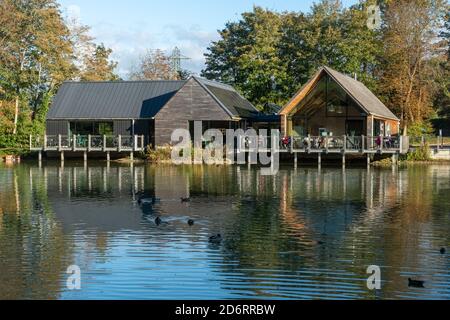 Weald and Downland Living Museum, un museo all'aperto vicino a Singleton nel West Sussex, Inghilterra, Regno Unito Foto Stock