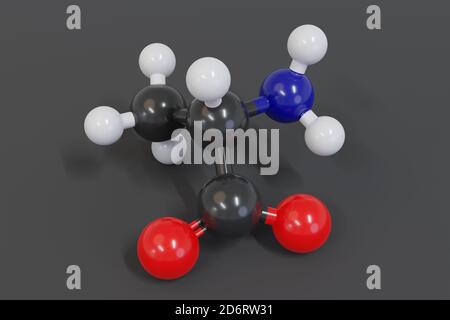 Molecola di alanina (L-alanina, Ala, A) amminoacidica. Rendering 3D. Gli atomi sono rappresentati come sfere con codifica a colori convenzionale: Idrogeno (bianco), carb Foto Stock