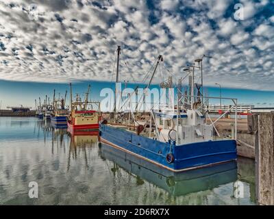 Navi da pesca nel porto di Esbjerg, Danimarca Foto Stock