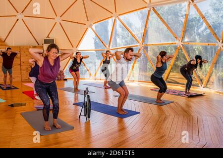Gruppo di persone a piedi nudi in abbigliamento sportivo in piedi appoggiati in avanti mentre praticare yoga sui tappetini sul parquet in camera Foto Stock