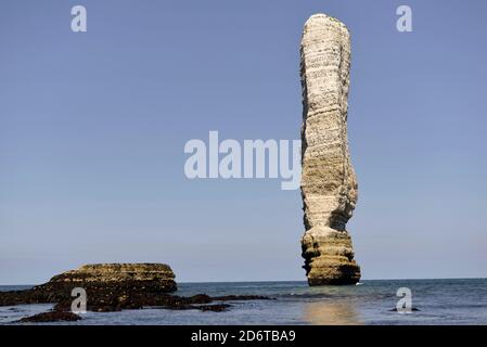 Gruppo marino Aiguille de Belval lungo la Costa d'Albatre (Normandia, Francia settentrionale) Foto Stock