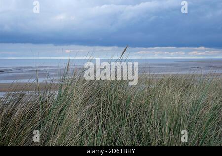 Holme-next-la-sea beach, a nord di Norfolk, Inghilterra Foto Stock