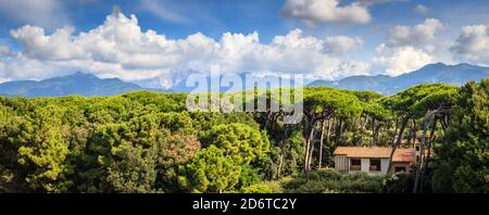 Vista panoramica delle Alpi dalla città costiera di Marina di Pietrasanta in Italia Foto Stock