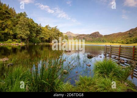 Giornata estiva a Blea Tarn nel Lake District, Cumbria Inghilterra UK Foto Stock