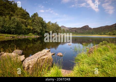 Giornata estiva a Blea Tarn nel Lake District, Cumbria Inghilterra UK Foto Stock