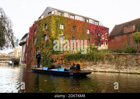 Cambridge Inghilterra Lunedi 19 ottobre 2020. Un pugno passa attraverso il colorato Creeper Virginia che cresce sul lato del St Johns College lungo il fiume Cam. Foto Stock