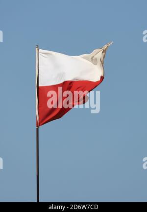 Bandiera polacca che vola su flagpole su sfondo blu cielo Foto Stock