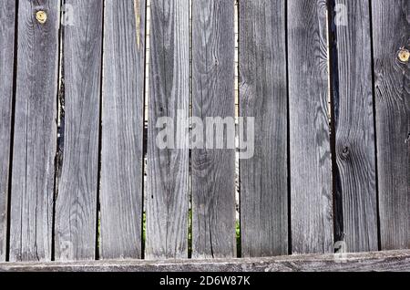 Piallatura di legno. Struttura di recinzione di legno grigio. Sfondo di vecchie tavole di legno rustico. Superficie di legno intemperie. Foto Stock