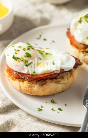 Riscaldare le uova fatte in casa Benedetto con Pram e Hollandaise Foto Stock