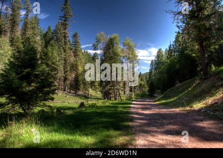 Una strada di servizio forestale in Lincoln National Forest fuori Cloudcroft, New Mexico. Foto Stock