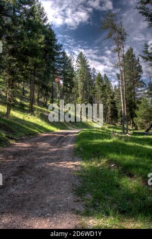 Una strada di servizio forestale in Lincoln National Forest fuori Cloudcroft, New Mexico. Foto Stock