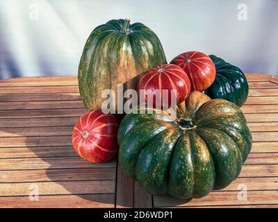 Vendemmia, prepari per Halloween. Grandi zucche verdi e arancioni di autunno, circondate da sfondo di legno. Illustrazione stilizzata con foto Foto Stock