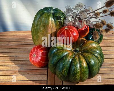 Vendemmia, prepari per Halloween. Grandi zucche verdi e arancioni di autunno, circondate da fiori secchi e sfondo di legno. Illusione stilizzata con foto Foto Stock
