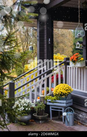 Zucche, fiori colorati in vaso sulla porta d'ingresso della casa, terrazza, decorazione vacanze autunno Foto Stock