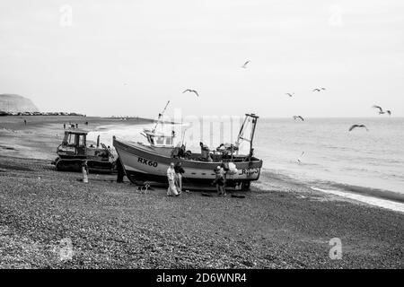 Barca da pesca in corso di trasporto sulla spiaggia a Hastings, Sussex, Regno Unito. Foto Stock