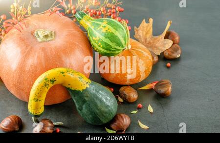 Autunno sfondo Halloween con assortimento di zucche e castagne. Foto Stock
