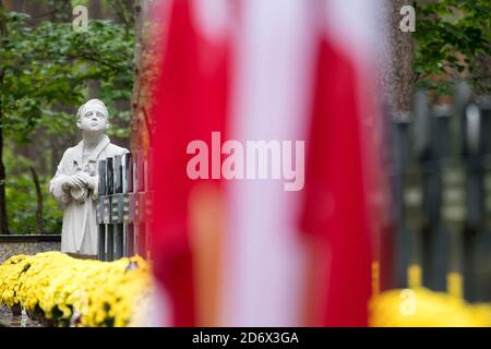 Una delle 30 tombe di massa di almeno 12.000 a 14.000 intellettuali polacchi (attivisti nazionali, insegnanti, sacerdoti) di Kaszuby e Pomerania, extermina Foto Stock