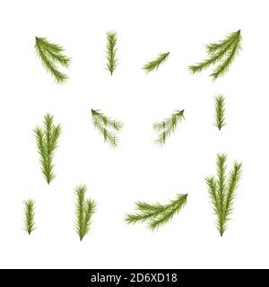 Rami di abete pino. Set di rami di albero di natale su bianco. Rami di abete realistico. Elementi decorativi natalizi. Ideale per poster, intestazione Illustrazione Vettoriale