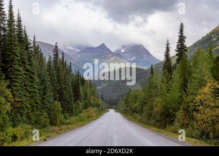 Vista della strada panoramica circondata da alberi e montagne Foto Stock